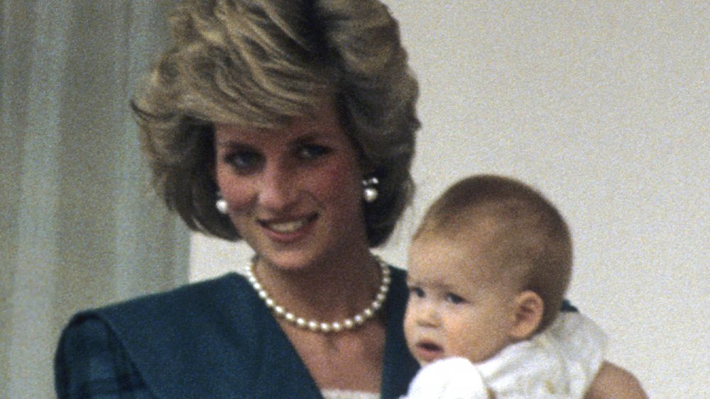 La principessa Diana e il principe Harry