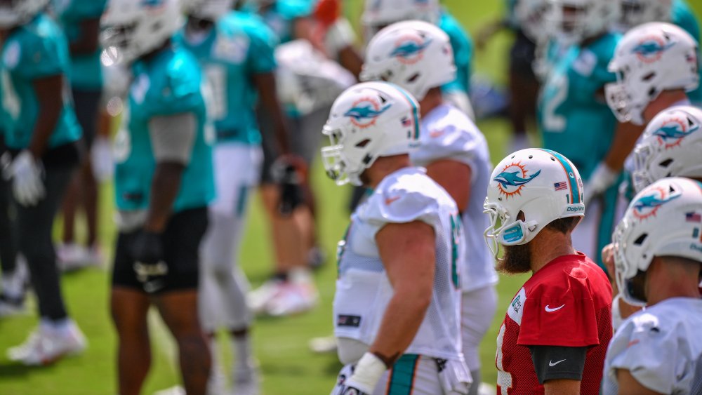 Miami Dolphins a piedi sul campo di calcio