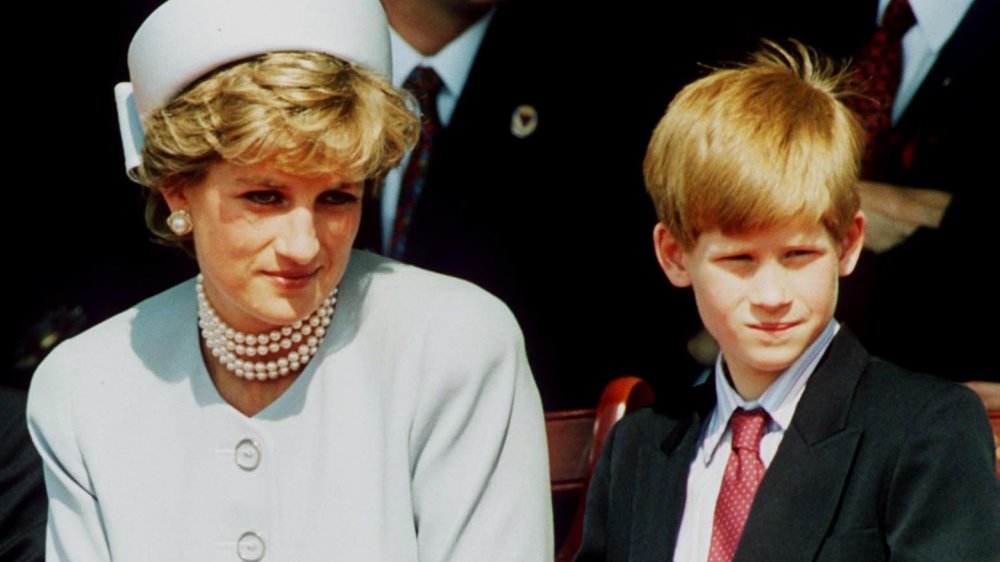 La principessa Diana e il principe Harry