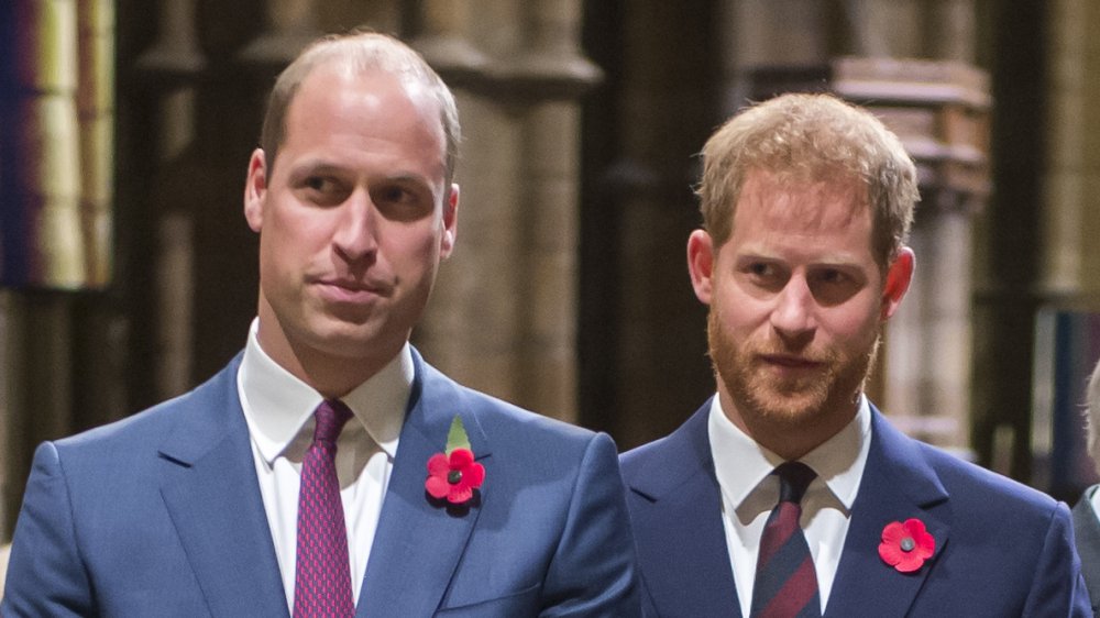 Il principe William, il principe Harry