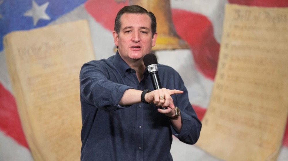 Il senatore Ted Cruz parla alla manifestazione