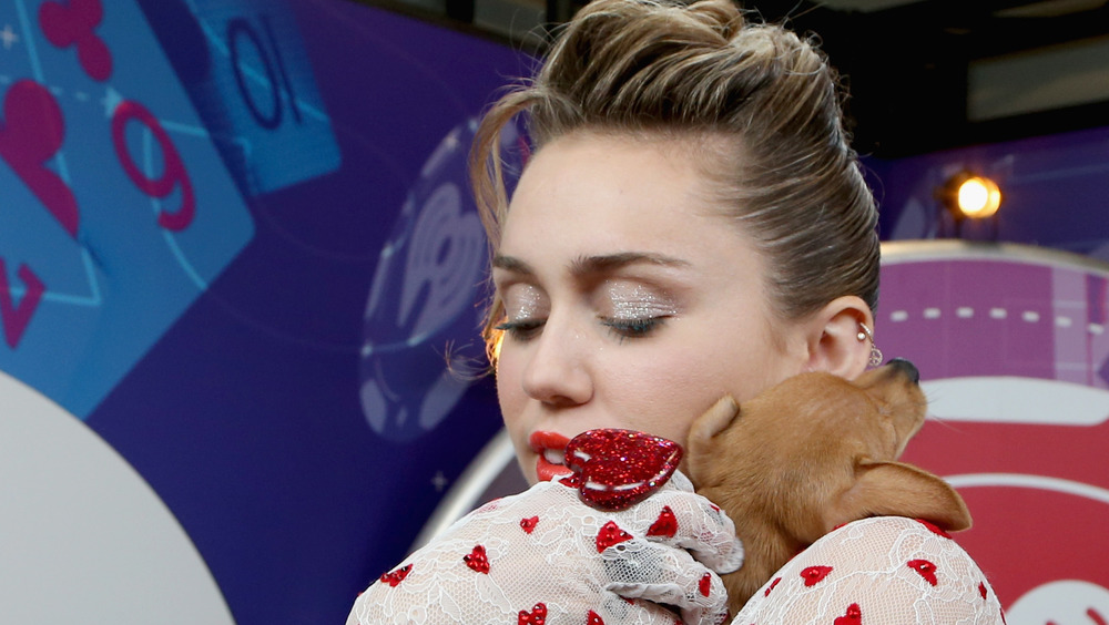 Miley Cyrus con un cane