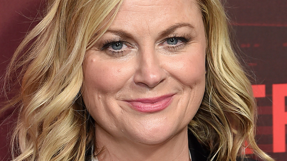 Amy Poehler sorride 