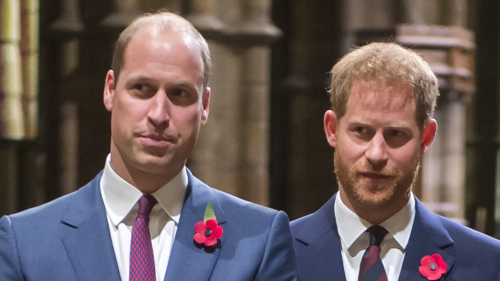 Il principe William e il principe Harry posano insieme durante un evento pubblico