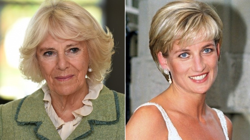 Camilla Parker Bowles sorride (a sinistra), la Principessa Diana sorride (a destra)