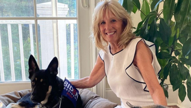 Jill Biden con i cani di famiglia