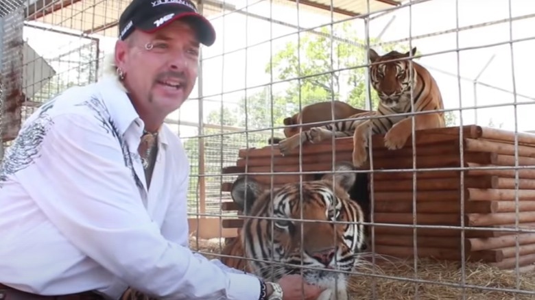 Joe Exotic canta "Why You Love Me"