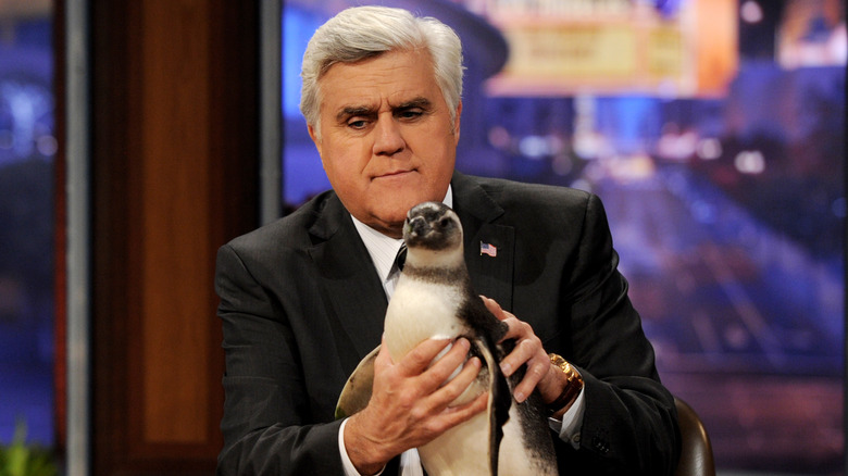 Jay Leno con in mano un pinguino 