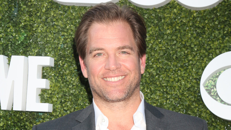 Michael Weatherly sorride