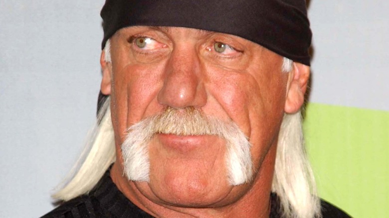 Hulk Hogan in posa