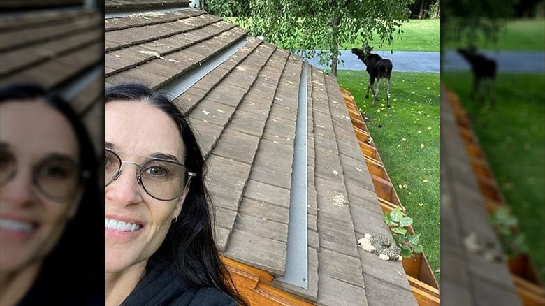 Demi Moore mostra un alce nel suo cortile in Idaho