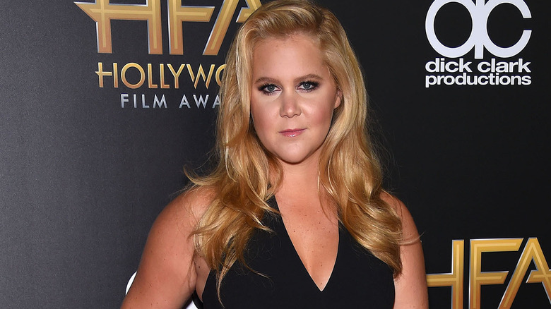 Amy Schumer in posa 