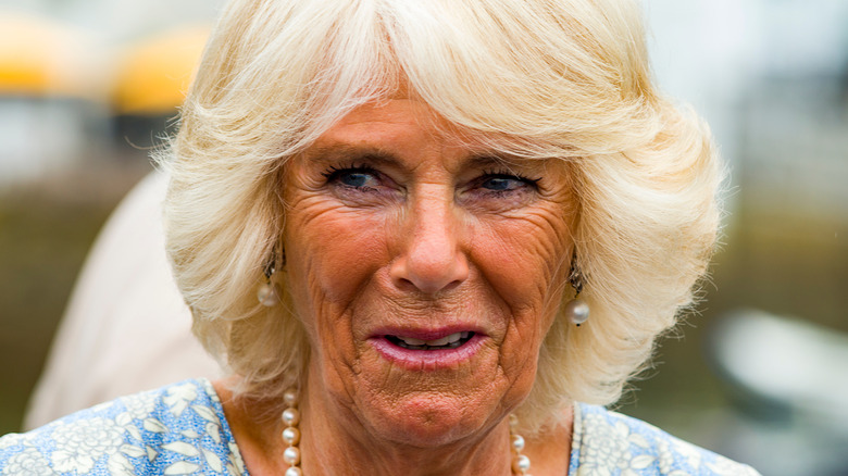 Camilla Parker Bowles guarda di lato