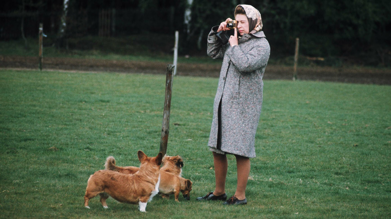 La regina Elisabetta scatta una fotografia accanto ai corgi 