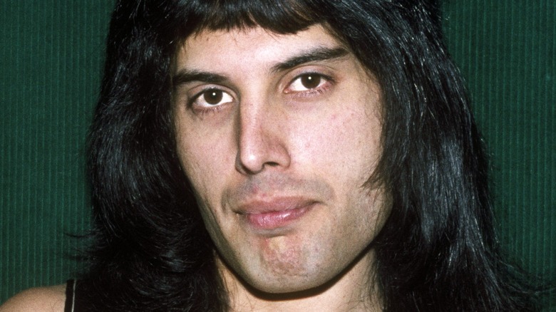 Freddie Mercury in posa