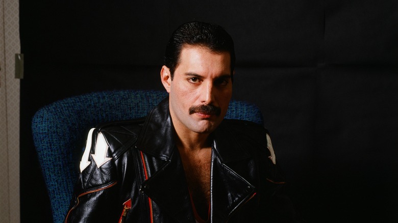 Freddie Mercury in posa