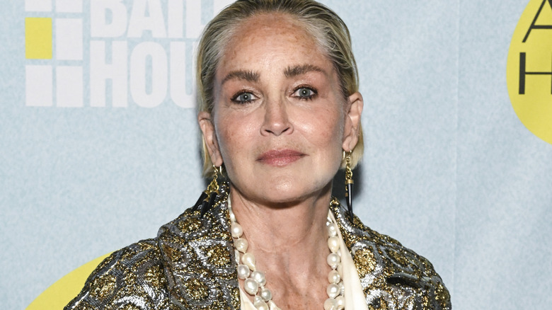 Sharon Stone a New York City nel 2023