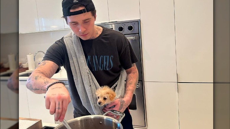 Brooklyn Beckham cucina con il cane in imbracatura