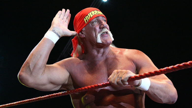 Hulk Hogan sul ring, in posa