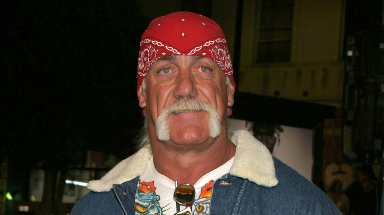 Hulk Hogan in posa