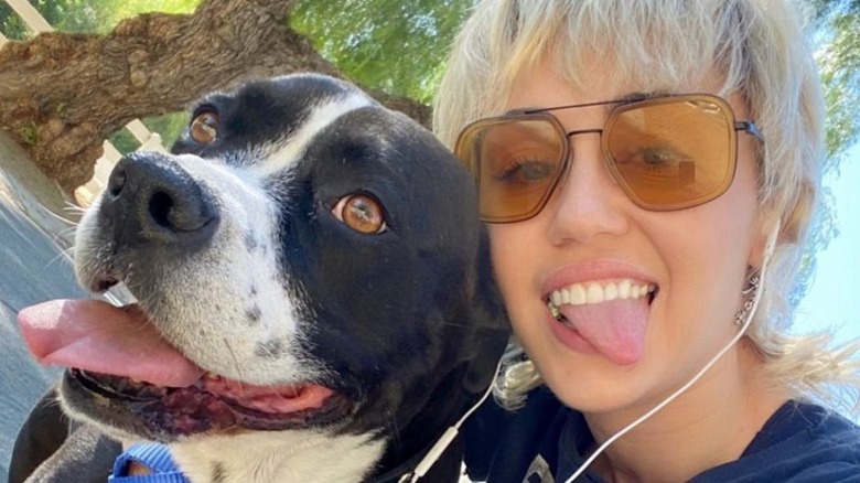 Miley Cyrus posa con il suo cane