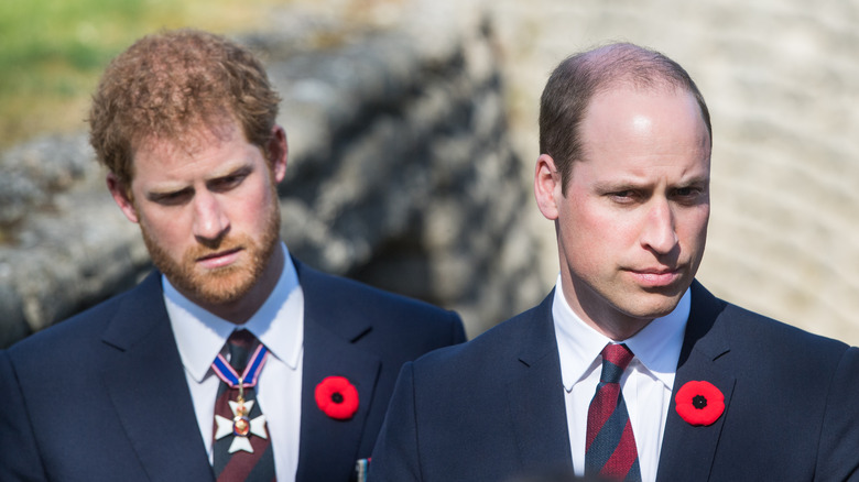 Il principe Harry e il principe William