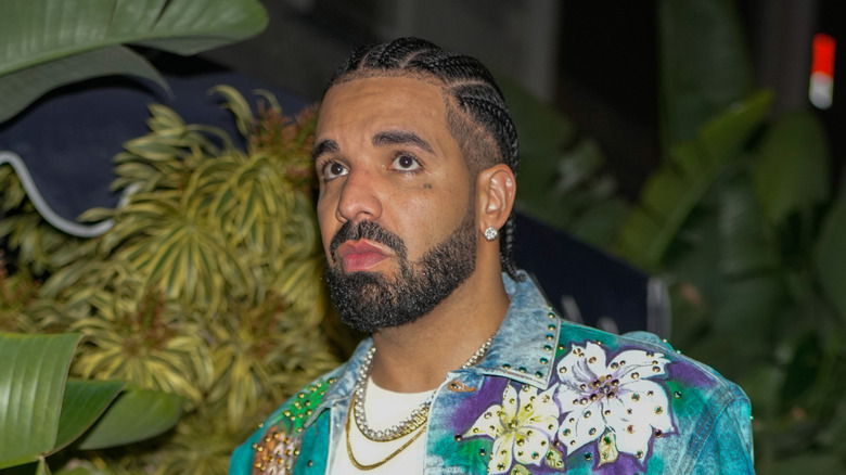 Drake in foto