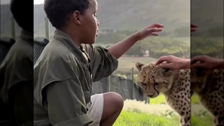 Bambino che accarezza un ghepardo