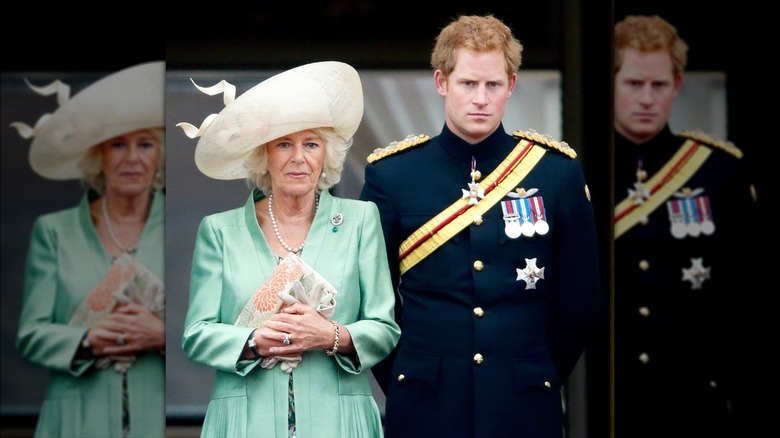 La regina Camilla e il principe Harry in piedi