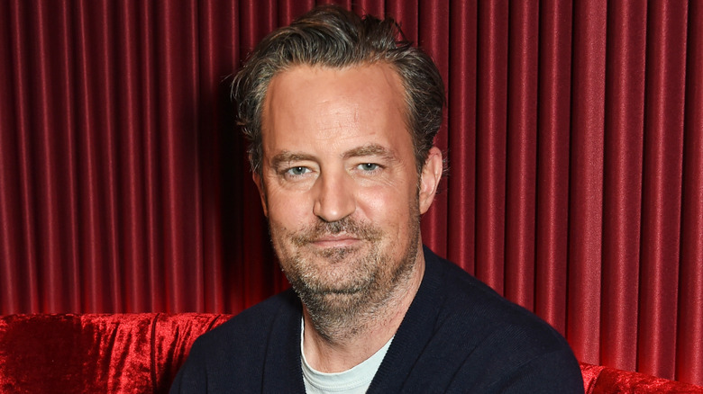 Matthew Perry in posa