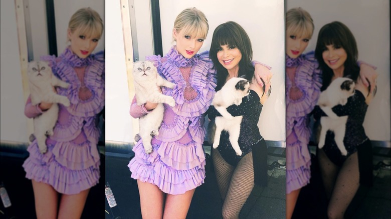 Taylor Swift e i suoi gatti con Paula Abdul