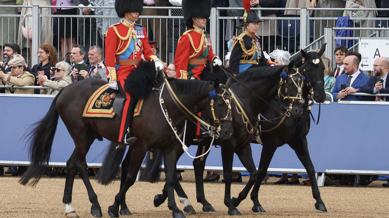 La principessa Anna in sella a un cavallo nero
