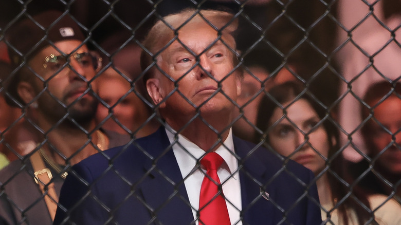 Donald Trump dietro una recinzione