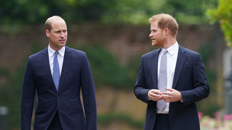 Il principe William e il principe Harry parlano