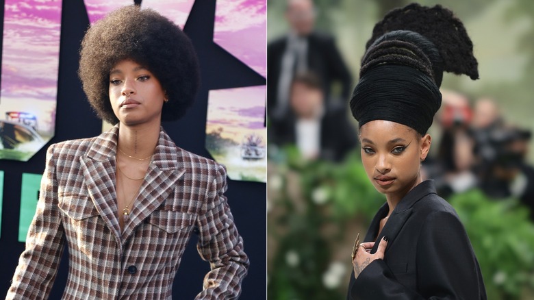 Acconciature di Willow Smith