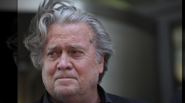 Steve Bannon capelli grigi barba incolta