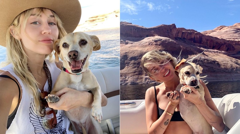 Miley Cyrus in vacanza con il cane