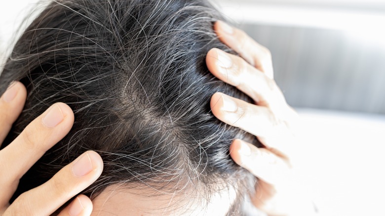 Donna dai capelli scuri con i capelli grigi