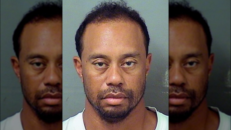 La foto segnaletica di Tiger Woods