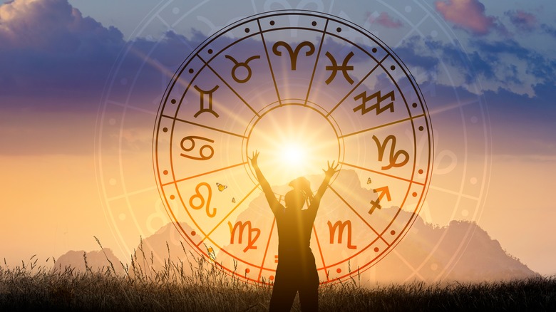 Ruota dei segni zodiacali