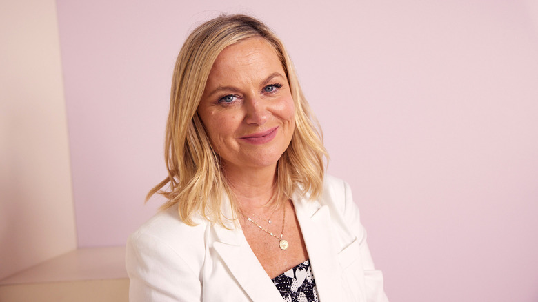 Amy Poehler indossa un abito rosa con paillettes 