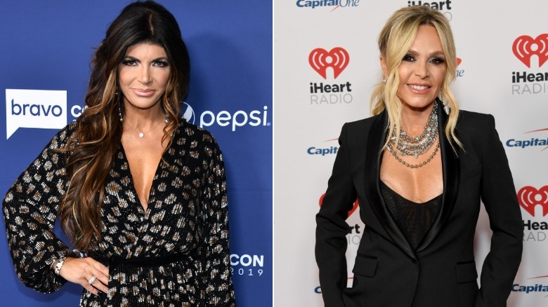 Teresa Giudice e Tamra Judge si dividono l'immagine