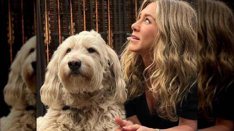 Jennifer Aniston con il cane