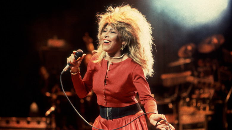 Tina Turner in concerto