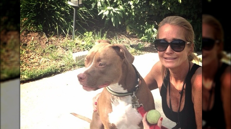 Kim Richards posa con il suo pitbull