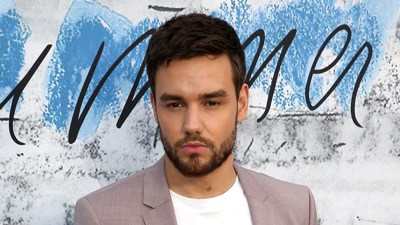 Liam Payne posa al Summer Party 2019