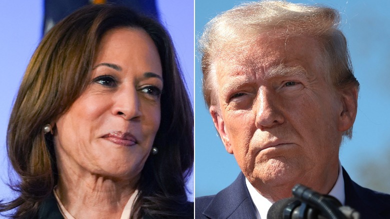 Immagine divisa di Kamala Harris e Donald Trump