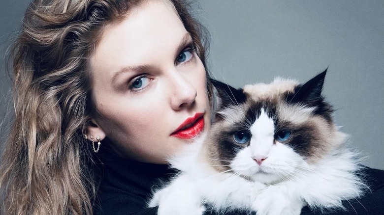 Taylor Swift tiene in braccio uno dei suoi tre gatti (2024)