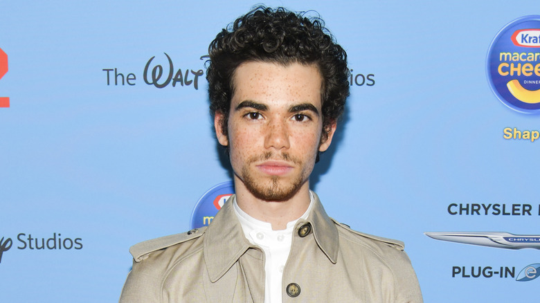 Cameron Boyce posa sul tappeto rosso