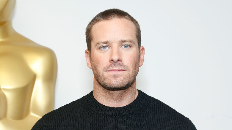 Armie Hammer indossa un maglione nero